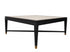 Alexa Coffee Table